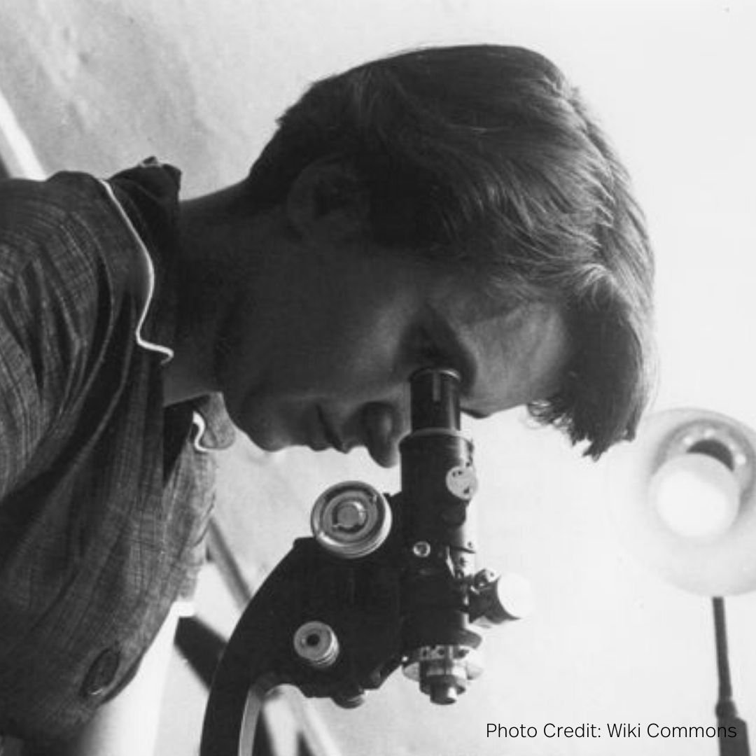 Rosalind Franklin chemical scientist crystallographer DNA RNA coal women's history month