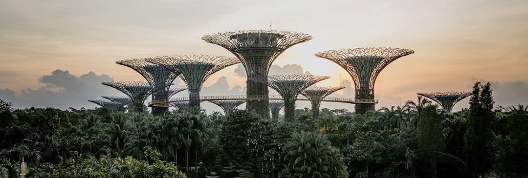 gardens by the bay singapore sunset