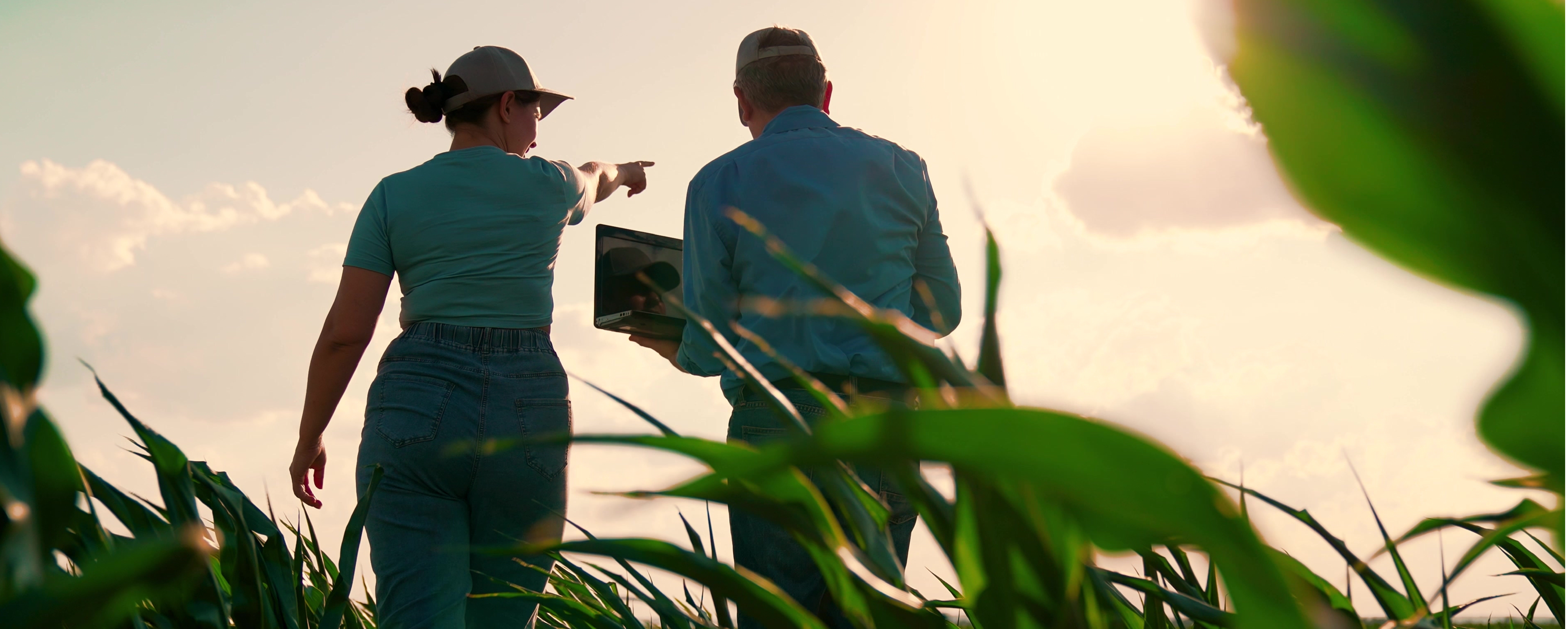 Agribusiness tech being used in Queensland Australia by farmers in a crop field