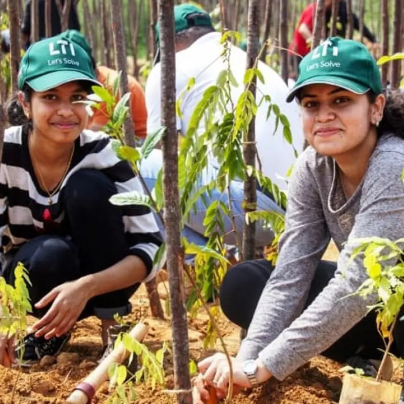 Brunel-Foundation-Forest