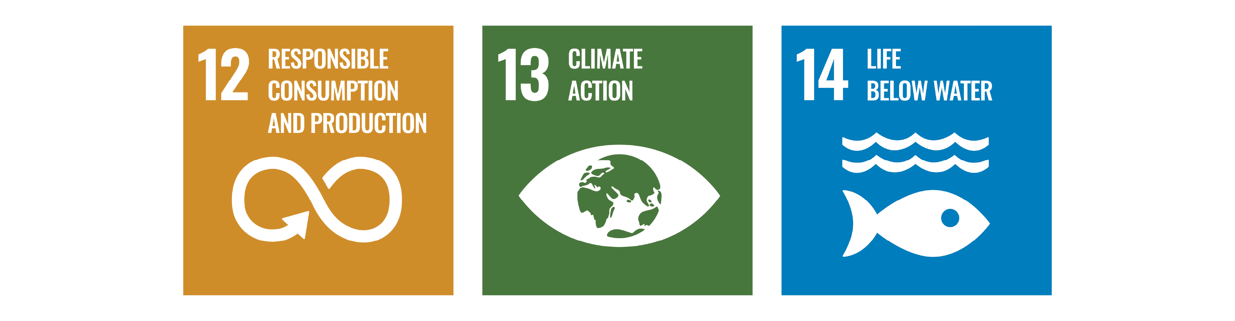 UN Values Planet climate responsible consumption