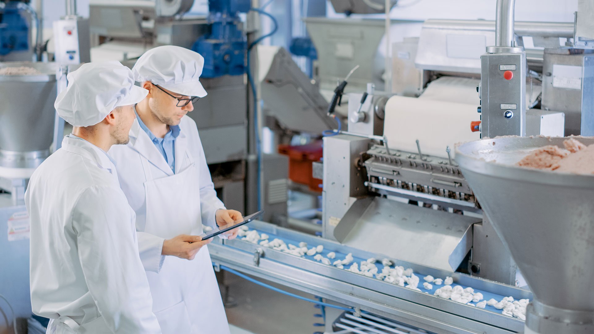 Two workers conduct quality check of dumpling production line