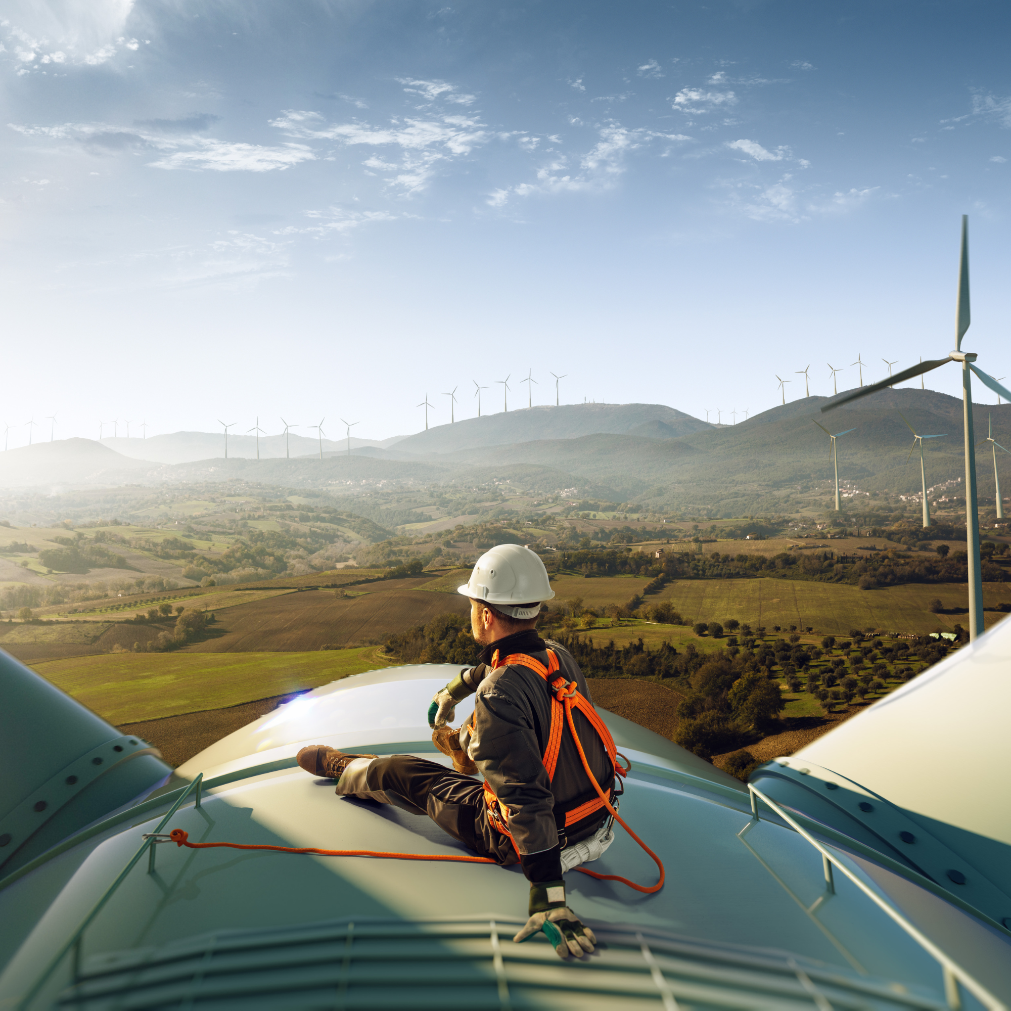 alumina element details