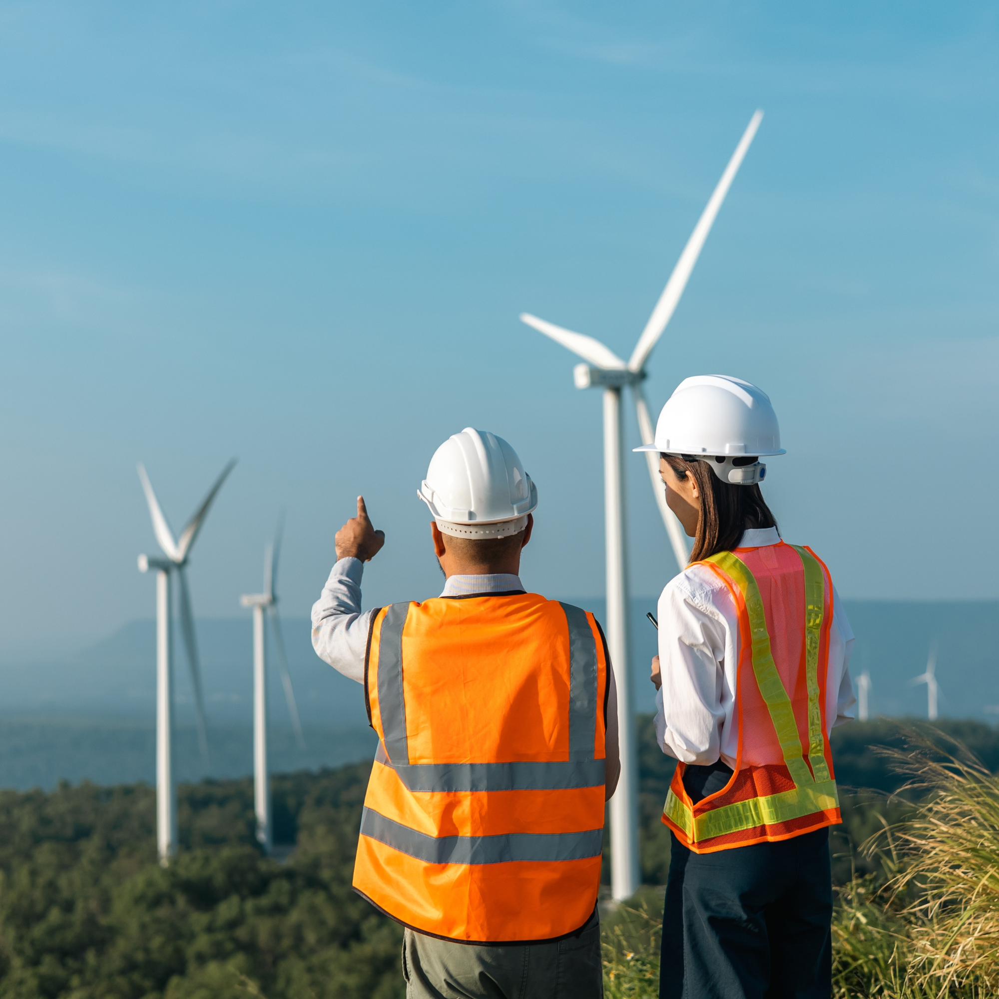 alumina element details