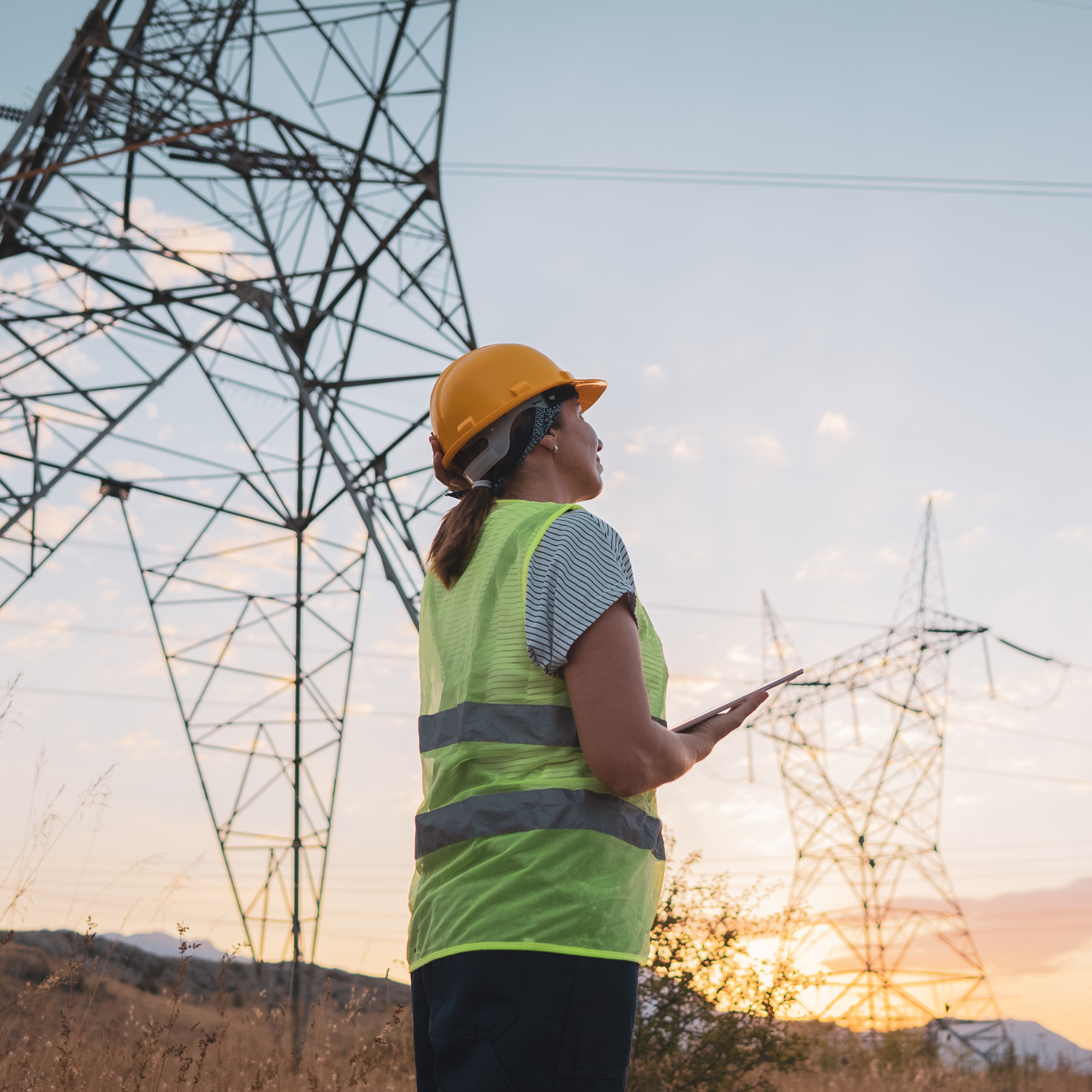 alumina element details