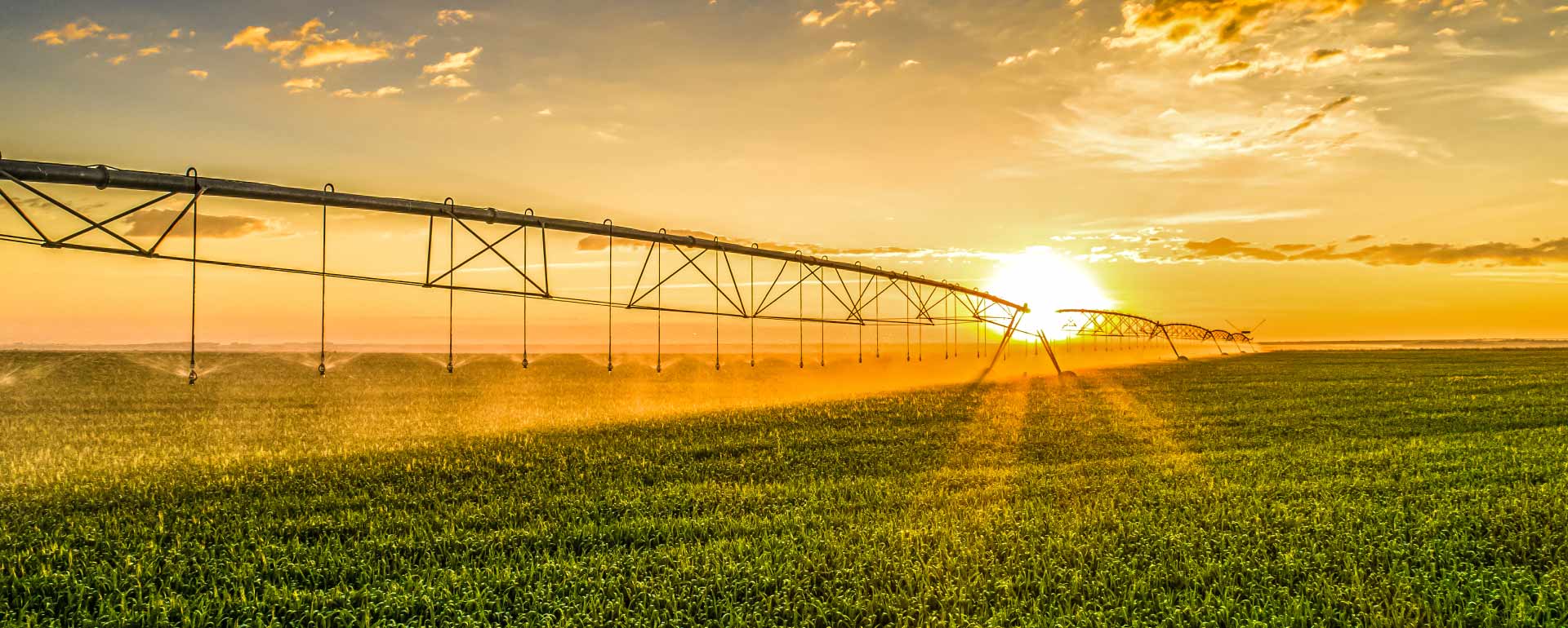 Agriculture farm recruitment business in Australia