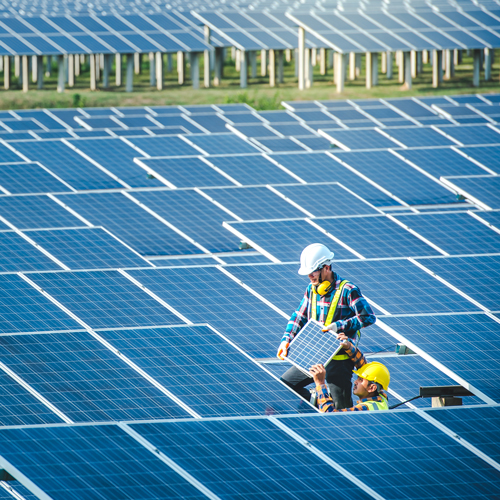 Workers installing panels on large solar farm