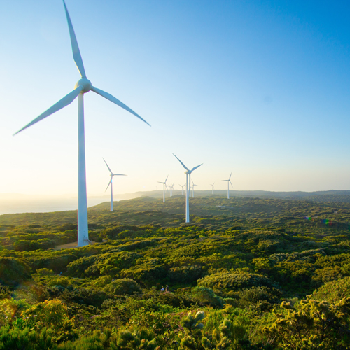 Windfarm in Albany, Western Australia