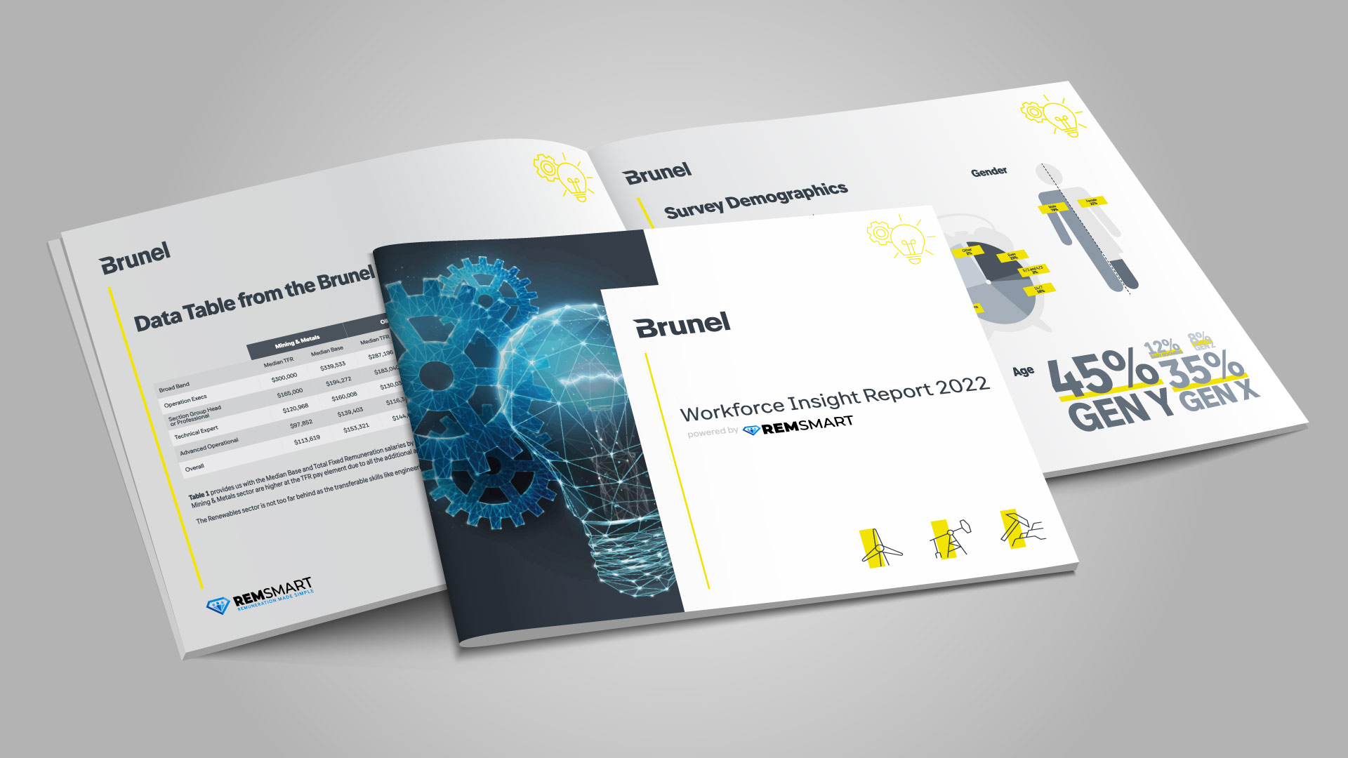 REMSMART Report mockup cover data pages
