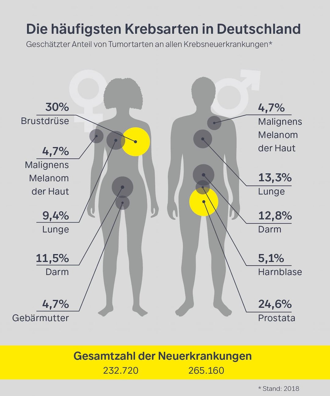 Krebsforschunf, Krebs, Forschung, Statistik, Krebsarten, Brustkrebs, Hautkrebs, Häufigste Krebsarten, Mann, Frau