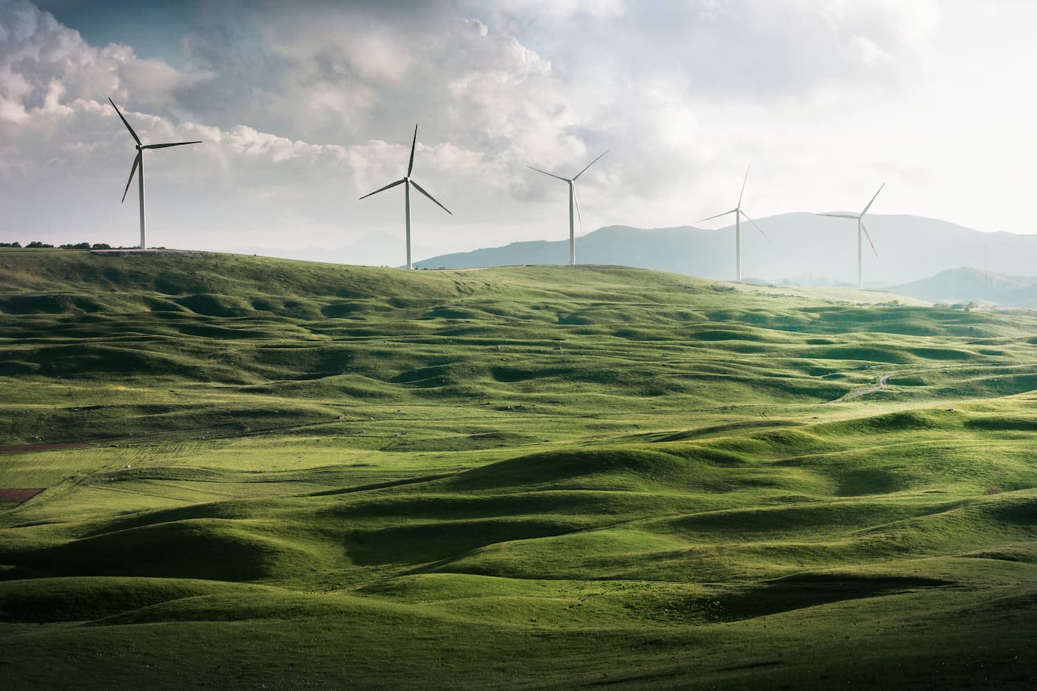 Wind mills in green landscape
