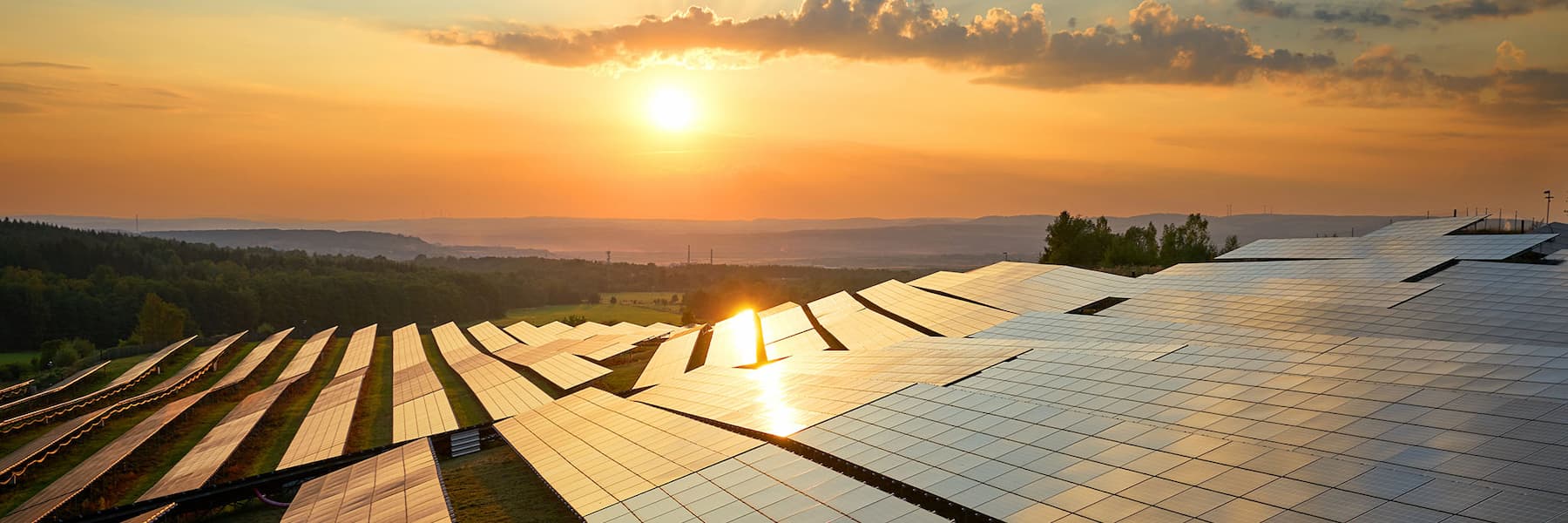 Field with solar panels at sunset