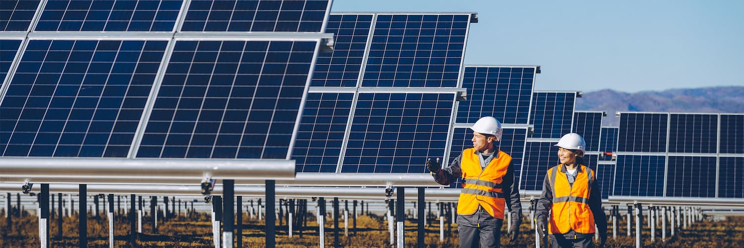 People walking across field with solar panels