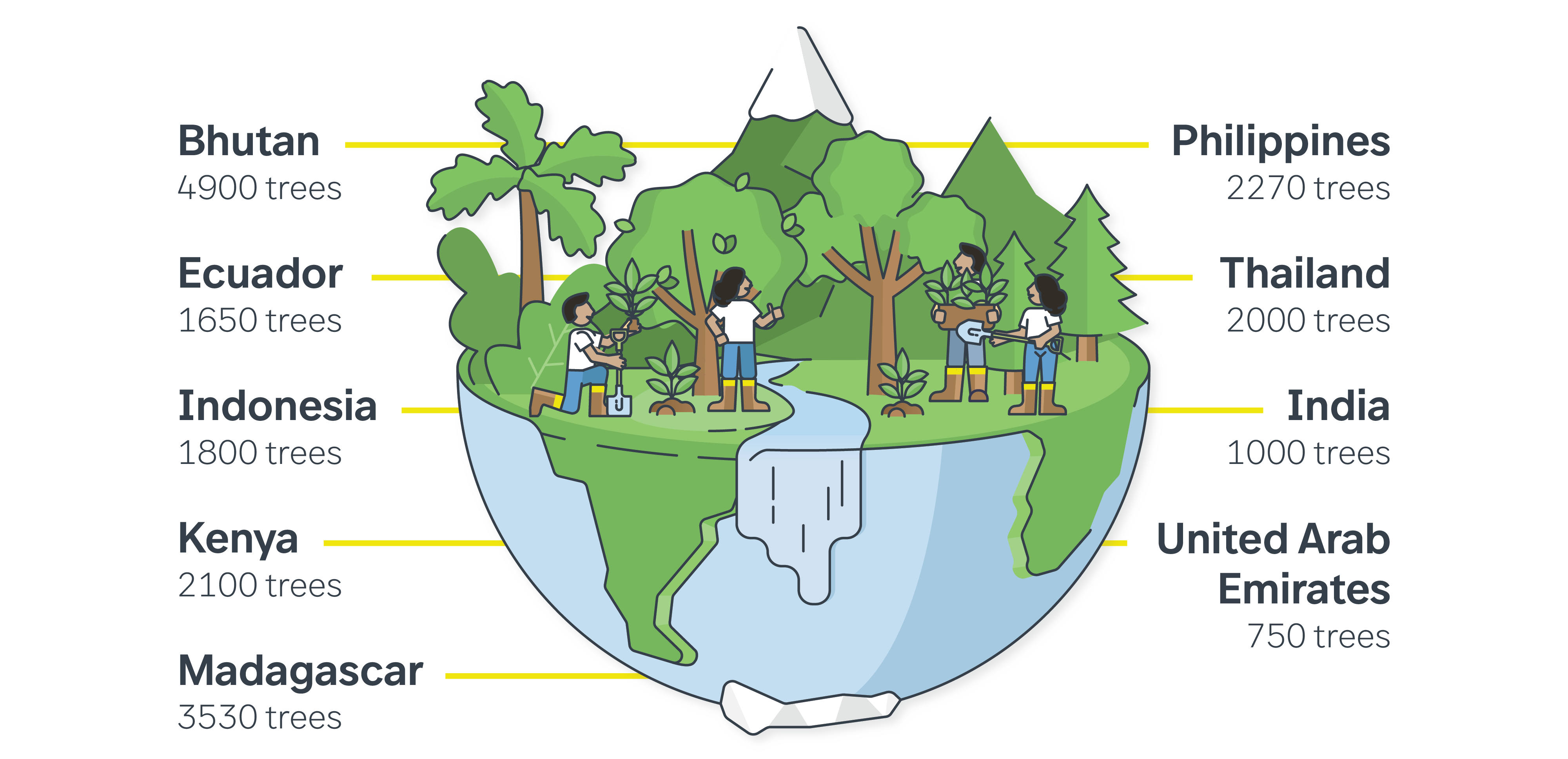 Brunel Foundation Forests across the globe