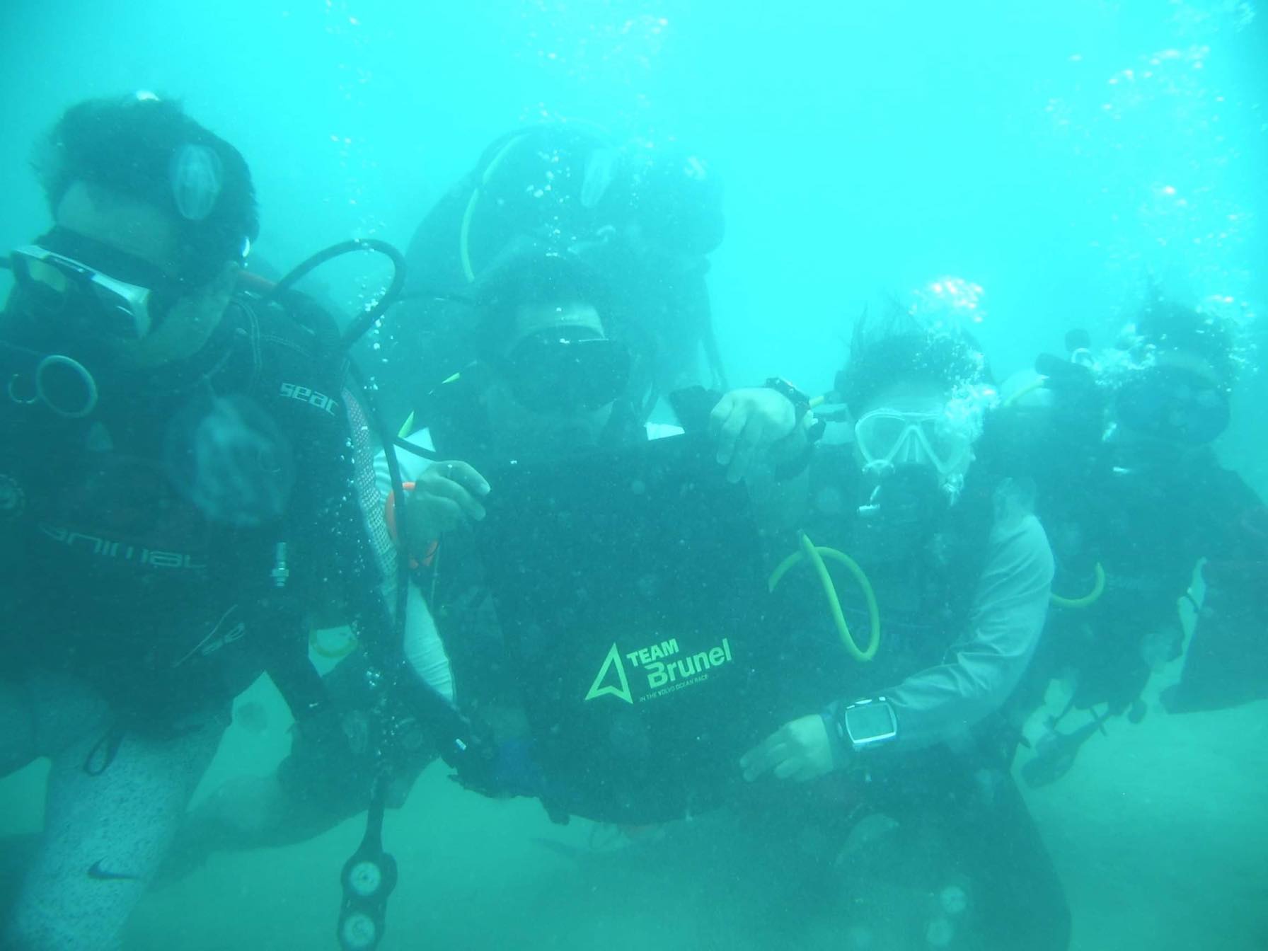 Brunel Qatar, in collaboration with Buhangin Divers, took the initiative to not just clean Sealine Beach in Doha, but to go below sea level to gather as much plastic as they could!