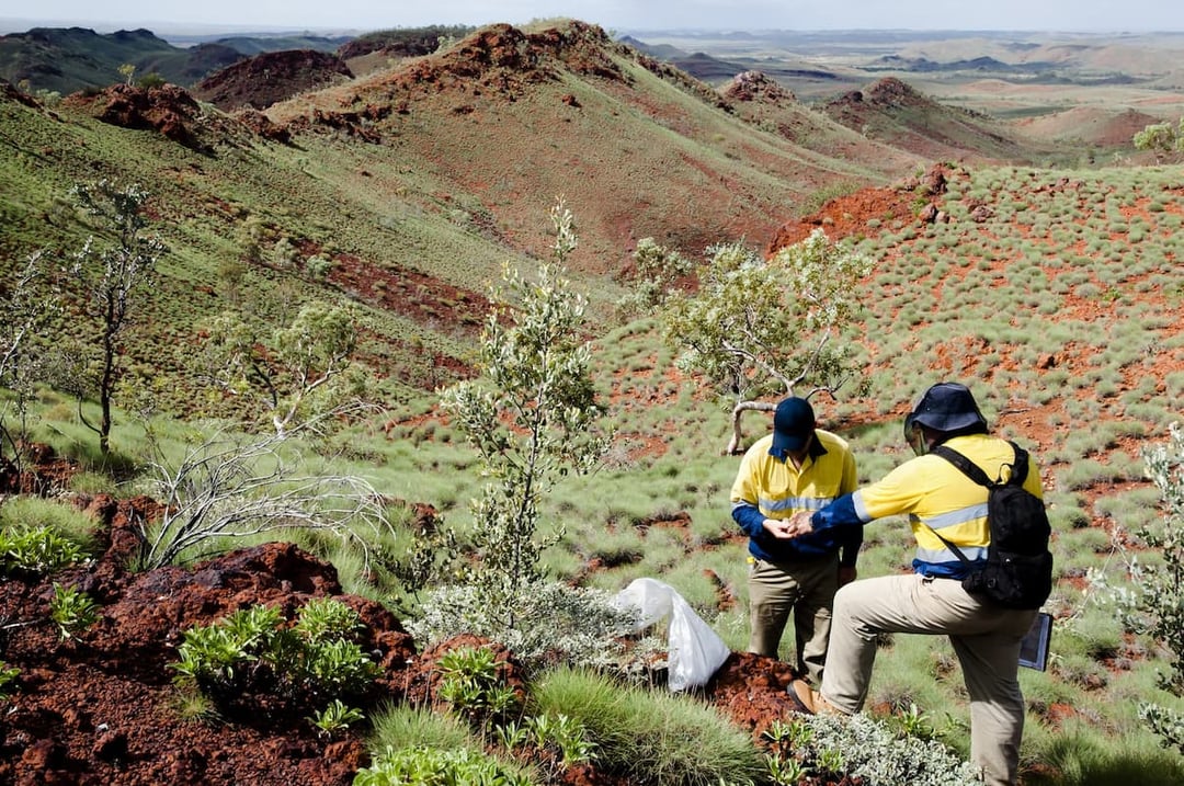 Mining specialists in Australian landscape