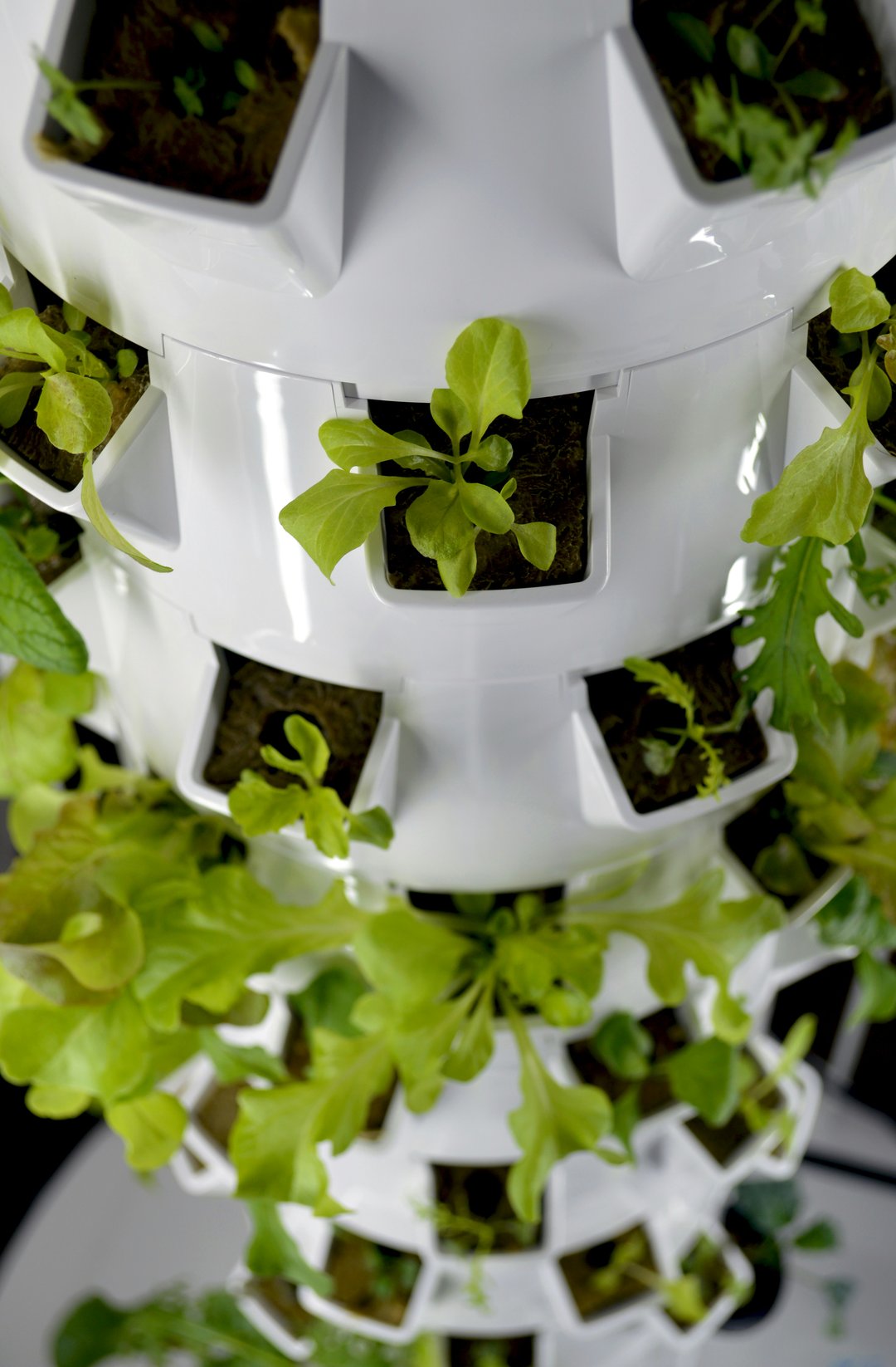 vertical farming