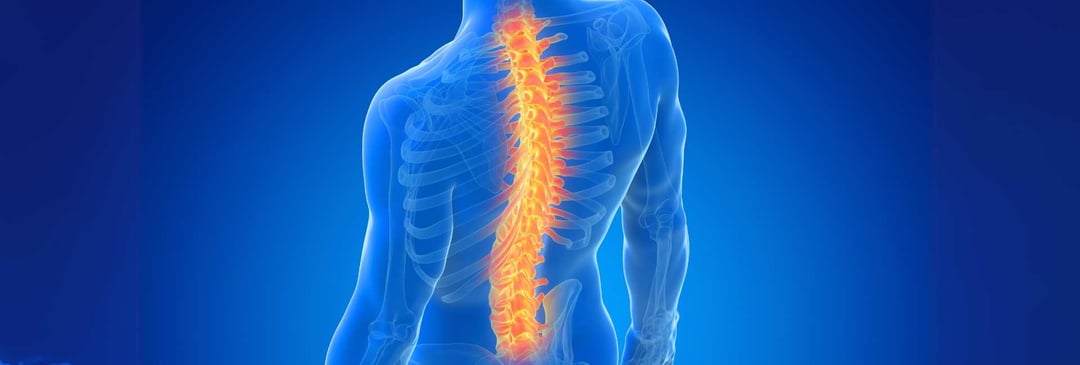 spinal chord injury rehabilitation advancement