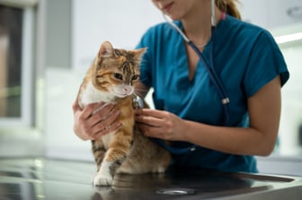 Card Animal Health