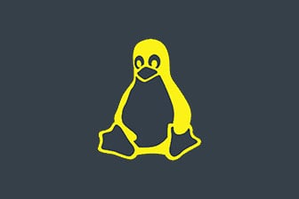 Card Linux engineer