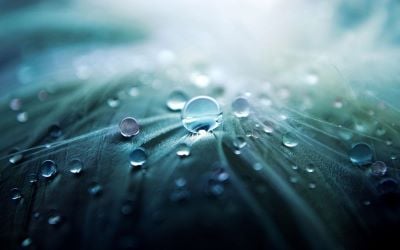 Card Detachering Waterstof
