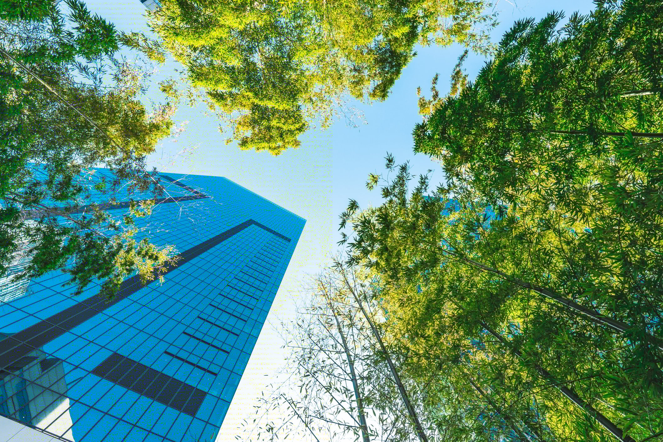 Brunel's technical staffing solutions provide ease in clean energy company's search for various permanent roles