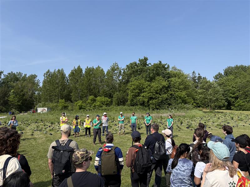 Brunel Toronto team plants trees