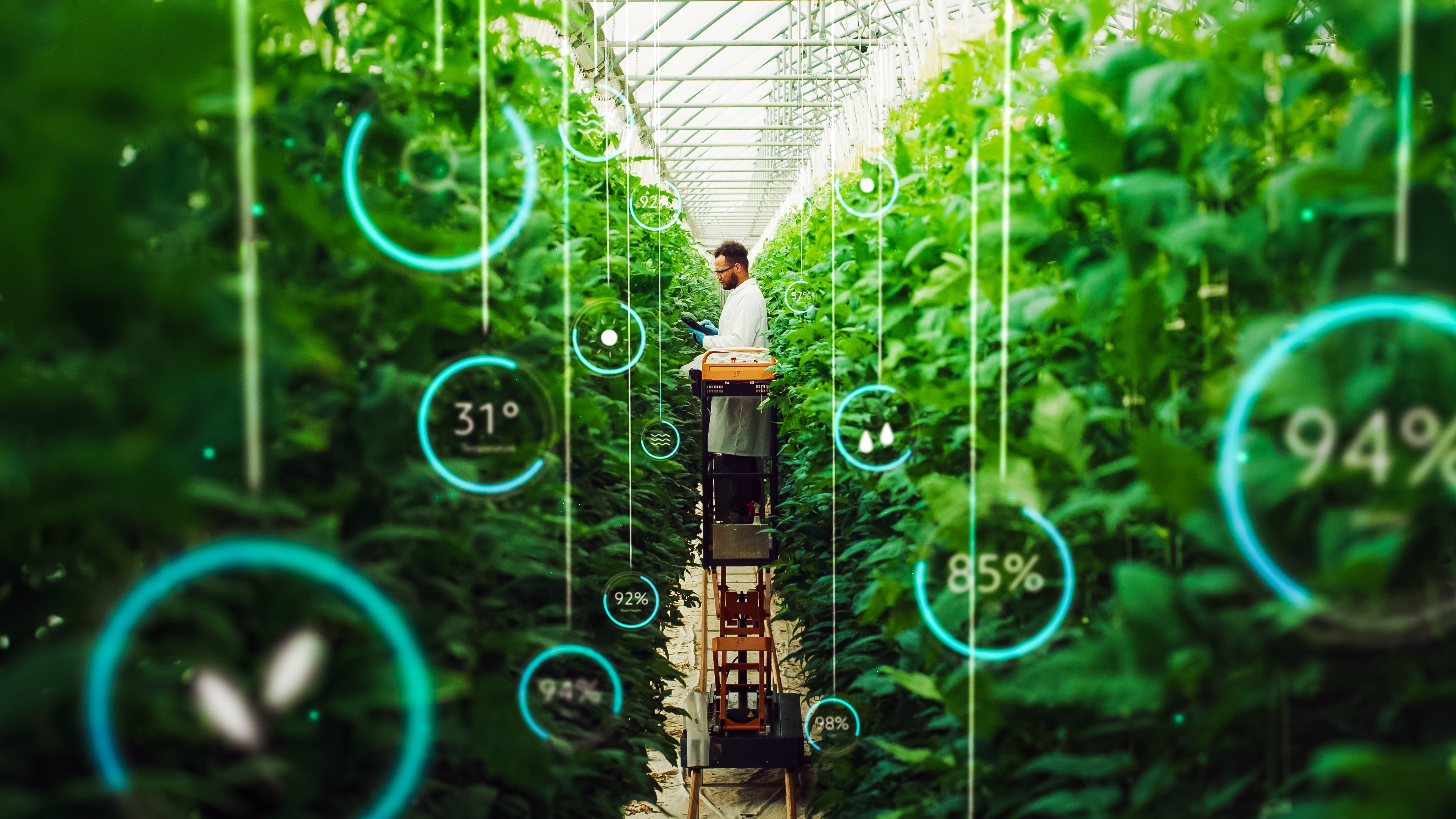 Photo of professional in a greenhouse with technology around him to depict the adoption of ai in food industry processes
