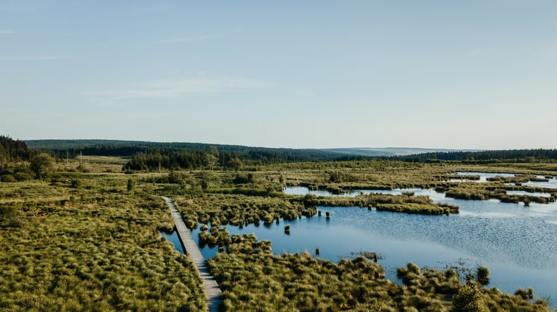 Moor-Landschaft ohne Menschen