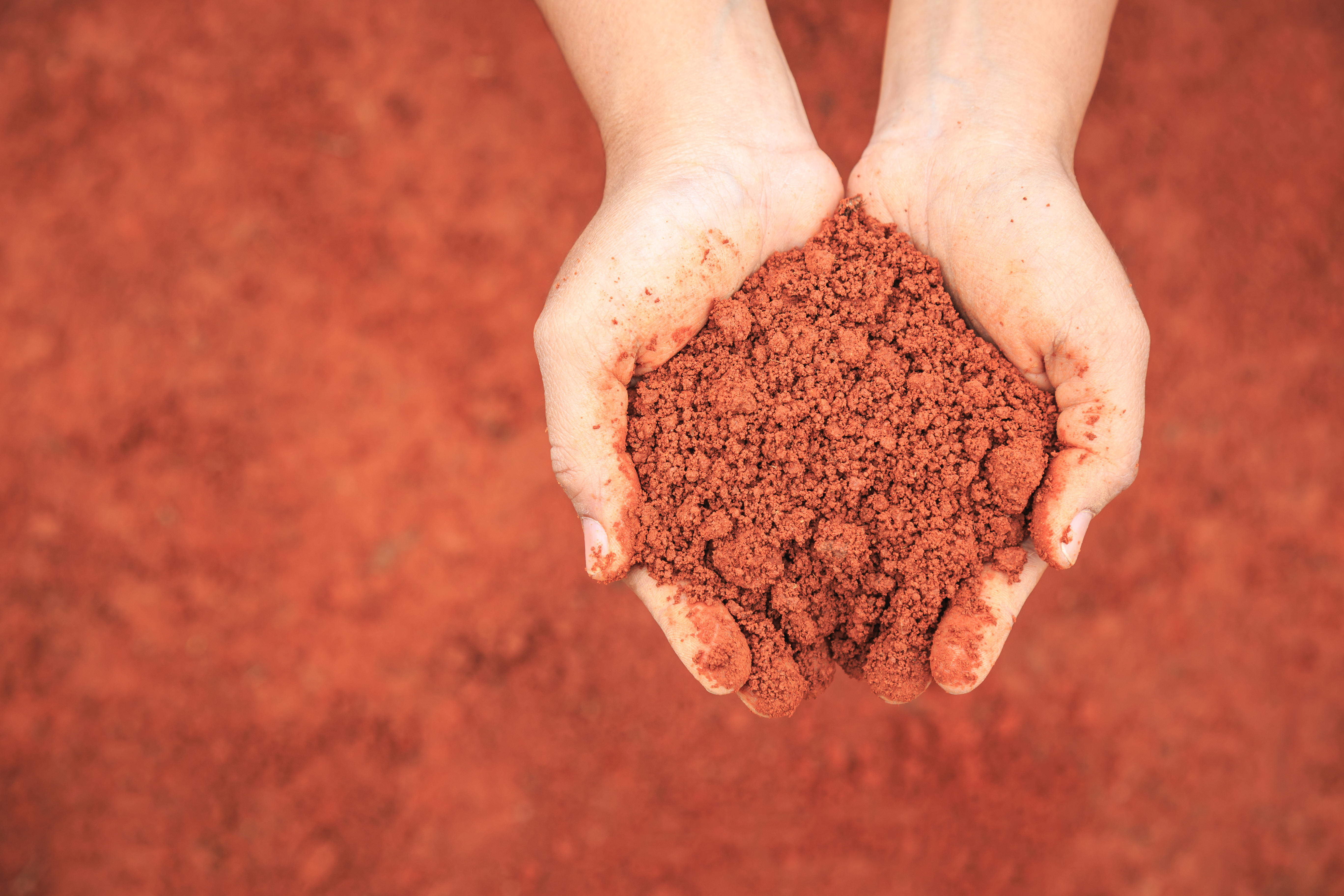 red mud being held