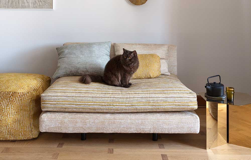 Card_FG_petfriendly