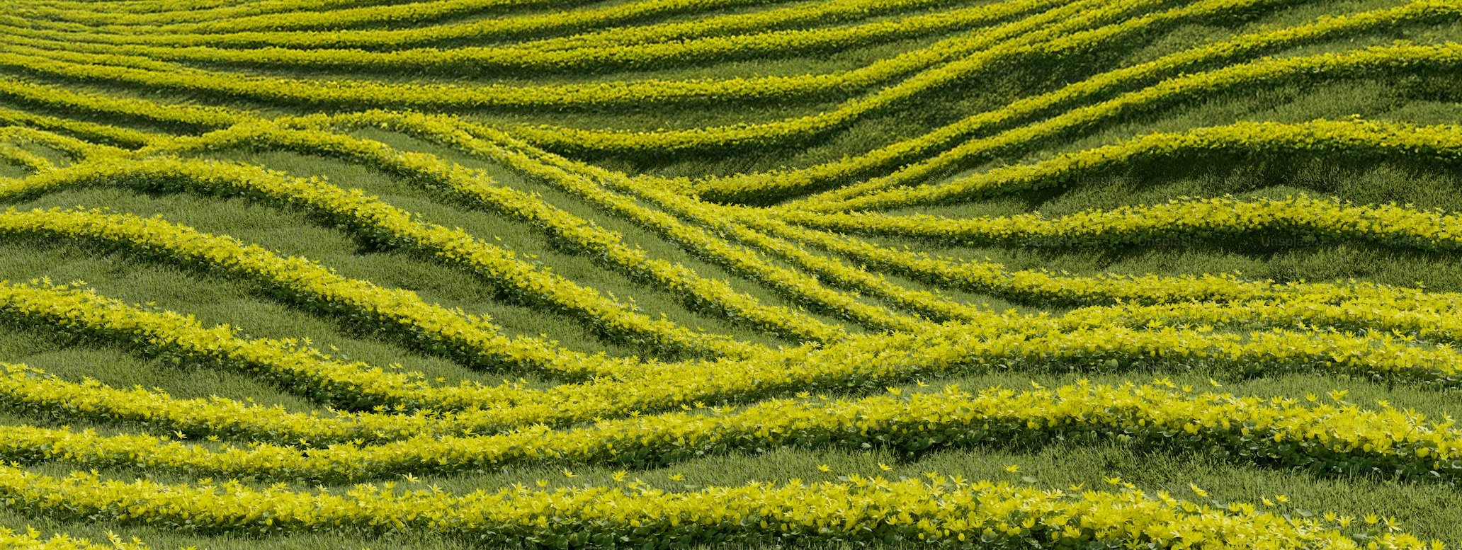 Sustainability_header2
