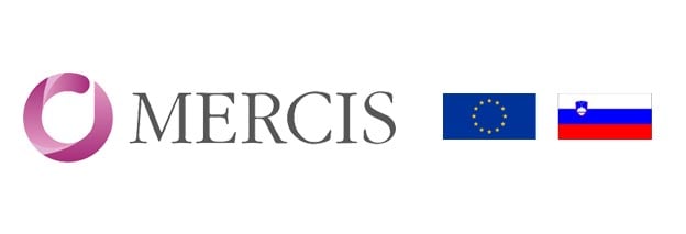 mercis_flaglogo_brandcard