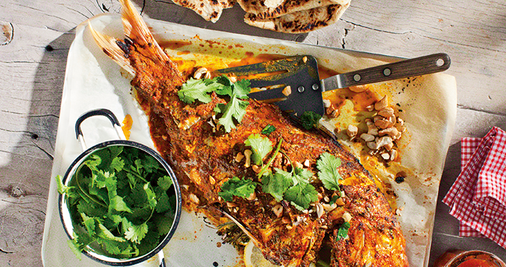 Matador Recipes 