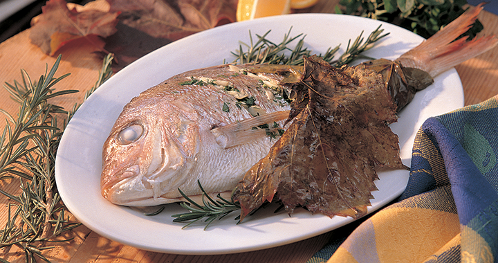 Matador Recipes 