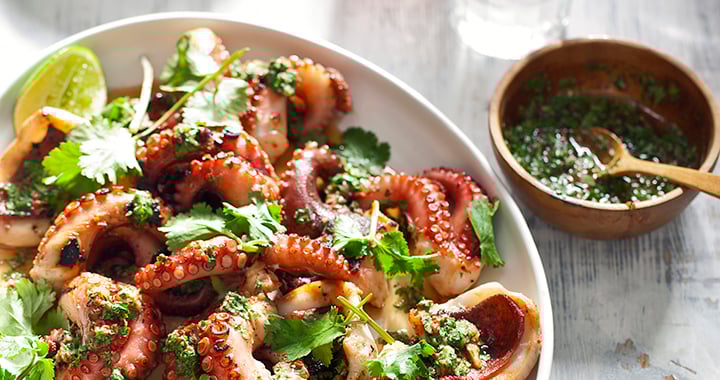 Asian Octopus
