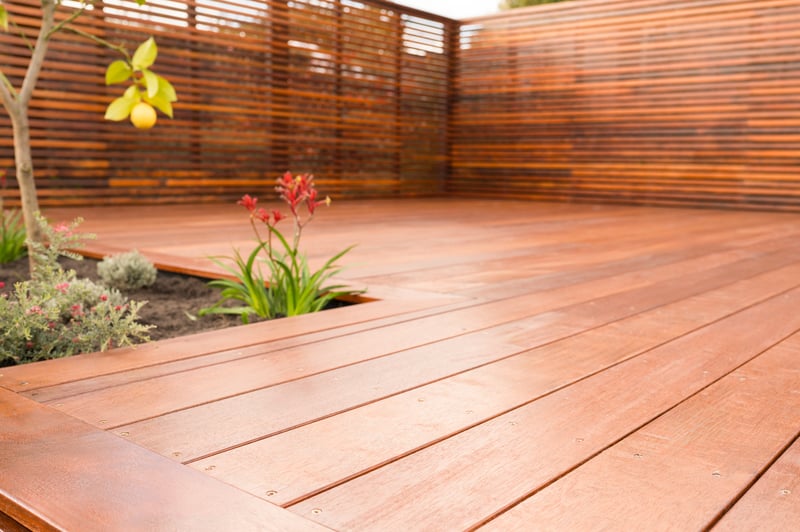 Decking close up with plants