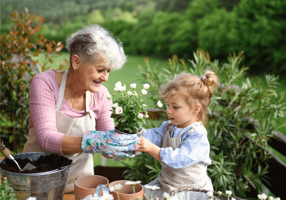 Retiree gardening with the granddaughter