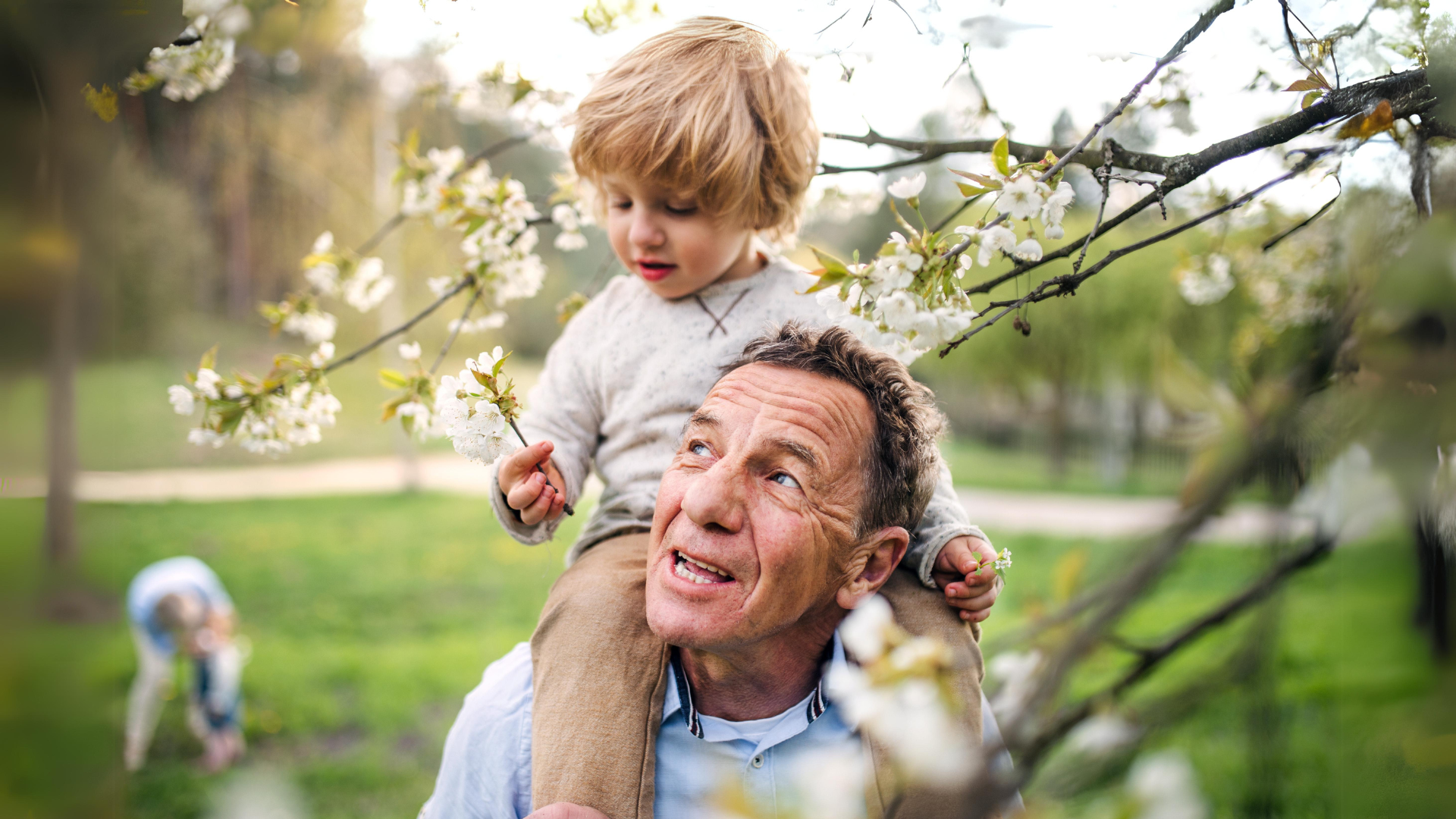 card - article - whats the best age to retiree