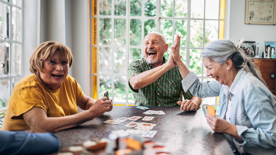 Retiree with grandchild learning 