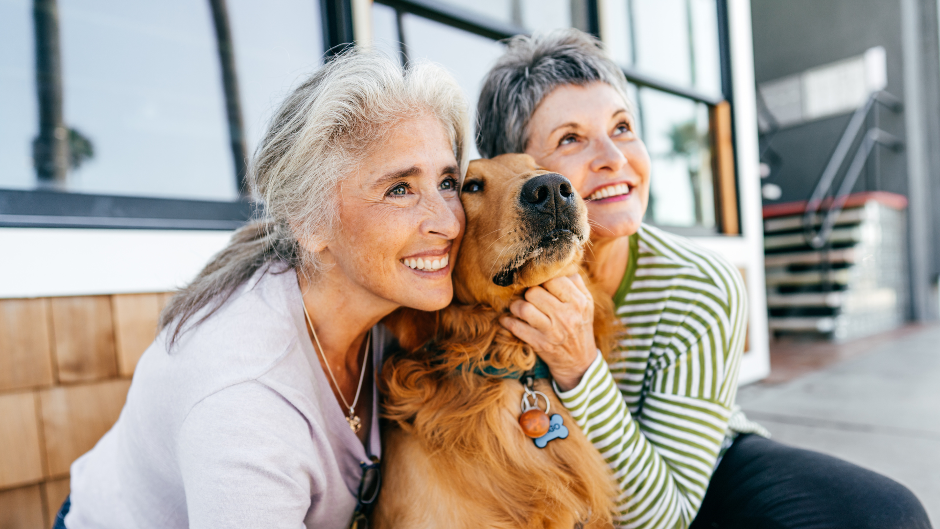 'Is a fixed term annuity right for you