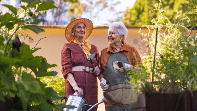 Planning for aged care Card 640x360