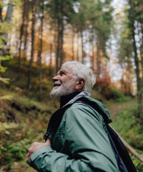 retirement income guide