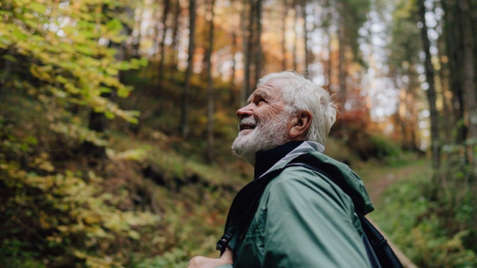 guide to income in retirement