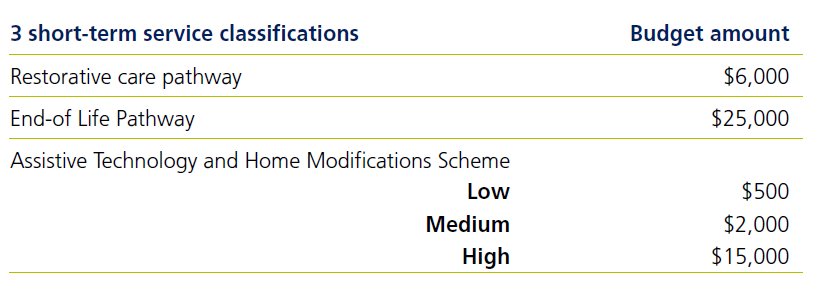 3 short-term classifcation services