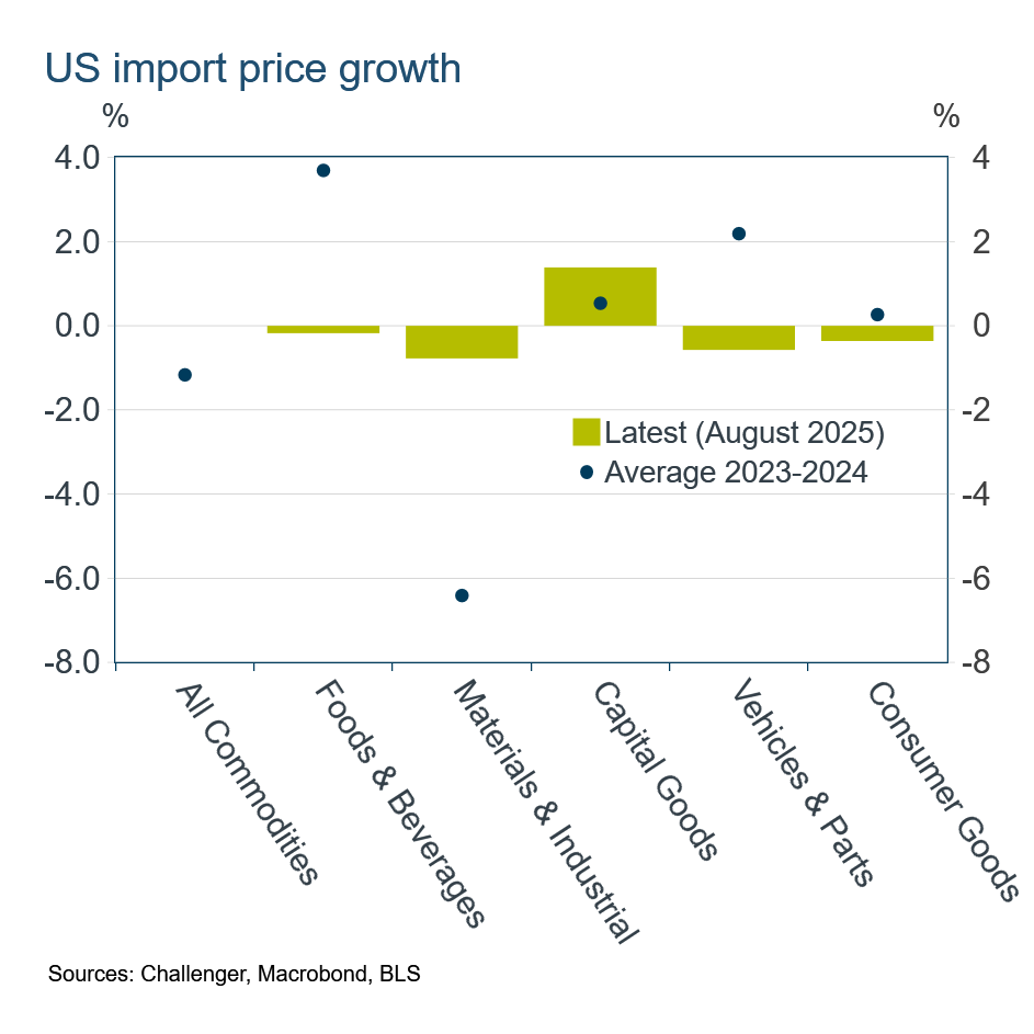US import price growth by category