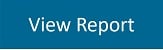 view report