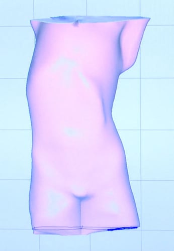 Rendering of torso