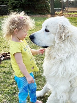 Tips for adopting a dog with kids Children's Wisconsin