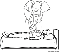 1884 Elephant on chest